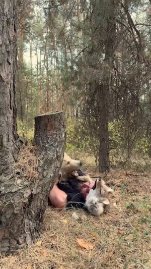 Одежда древних охотников!
