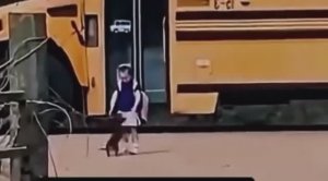 ПЁСИК КАЖДЫЙ ДЕНЬ ПРИХОДИТ К ШКОЛЕ И ТЕРПЕЛИВО ЖДЁТ, КОГДА ВЫЙДЕТ ДЕВОЧКА