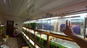 Два года не промывал фильтр и работа с отстойником