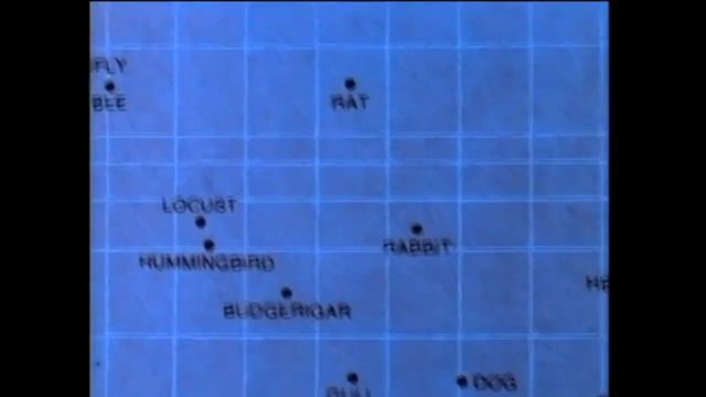 Стив Джобс: Компьютер это велосипед