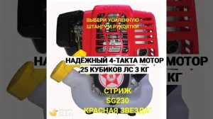 SG230 Видео Стриж