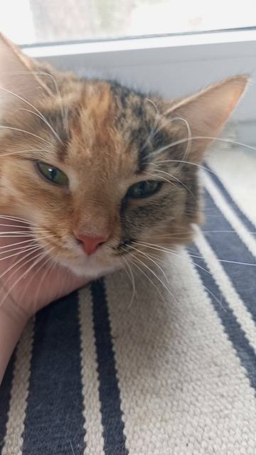 Красотка, правда ?