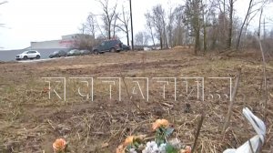 Незаконное кладбище незаконными методами уничтожили неизвестные