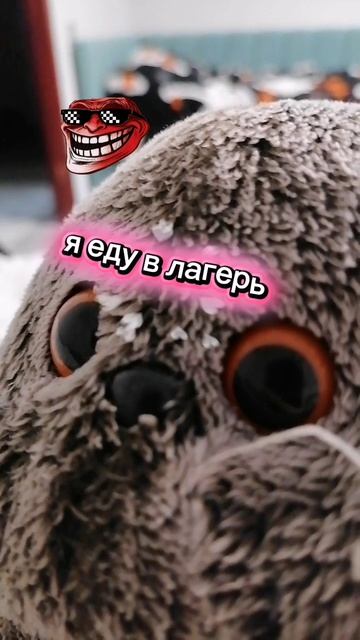 я еду в лагерь