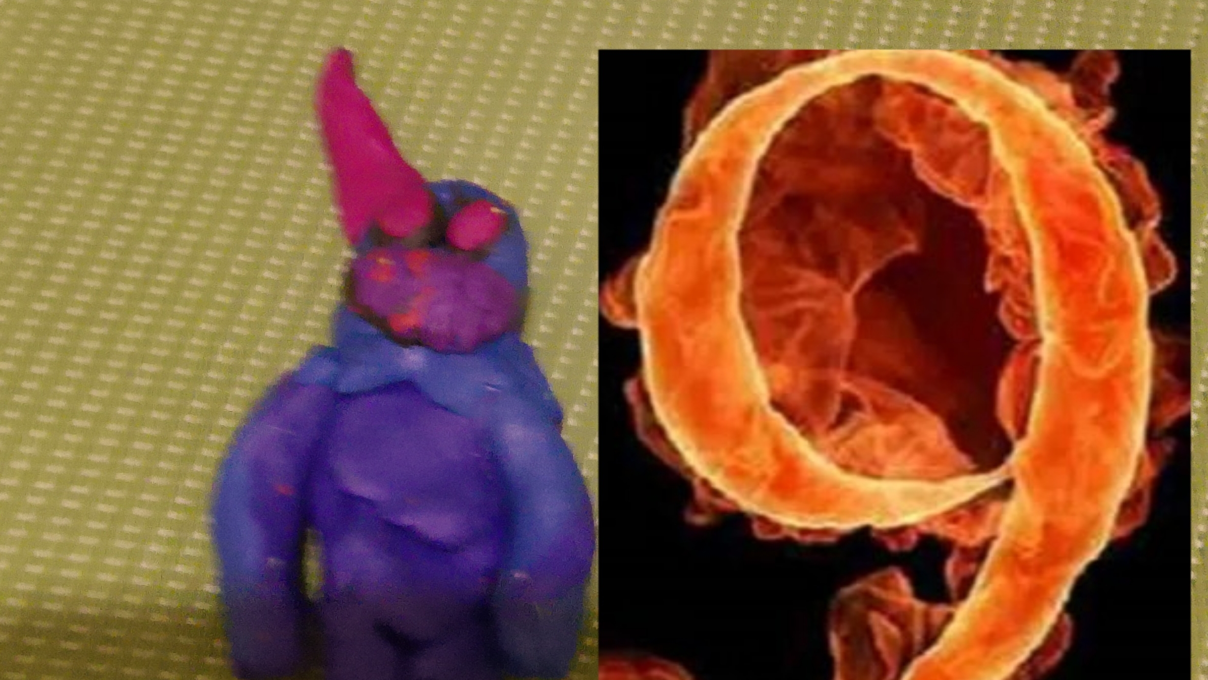 домик Броуди 9 серия