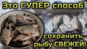 Как максимально долго сохранить рыбу свежей и вкусной. Лучший способ хранения рыбы!