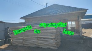 Дача. Городские хлопоты.