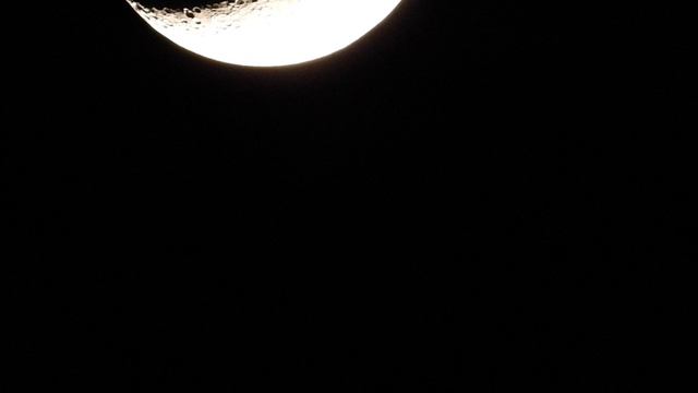 Грызенная Луна весной