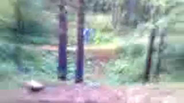 Video0122.3gp