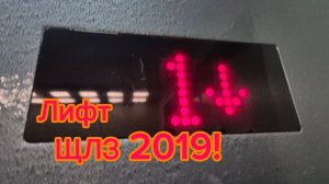 ОЧЕНЬ ДОЛГОЕ ПРИБЫТИЕ! Лифт ЩЛЗ 2018 г. | Лифты