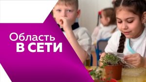 Область в сети 342