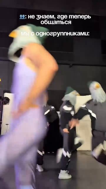 отправляем письма голубиной почтой