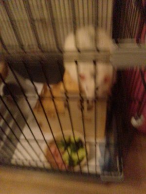 выполняю задание