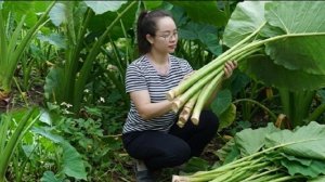Готовлю из стеблей таро традиционный вьетнамский суп с лапшой. Энн. Жизнь во Вьетнаме