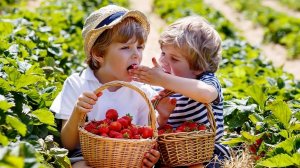 ПРИРОДНЫЕ ФЛЮИДЫ. Как вам научиться определять, насколько полезны вам те или иные овощи и фрукты