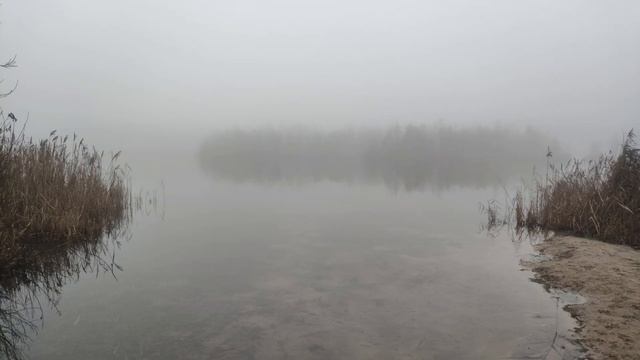 Ambient session 9: Fog over the lake meditation