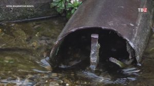 Массовое отравление в Муроме: что сейчас происходит в городе