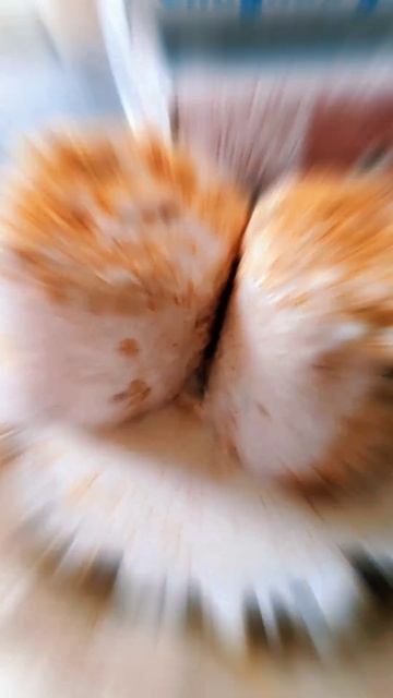 С женой приготовили в мультиварке творожные куличи. Ждём праздника - чтоб насладиться вкусом домашни