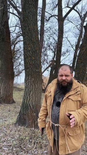 На меня напали дикие русалки