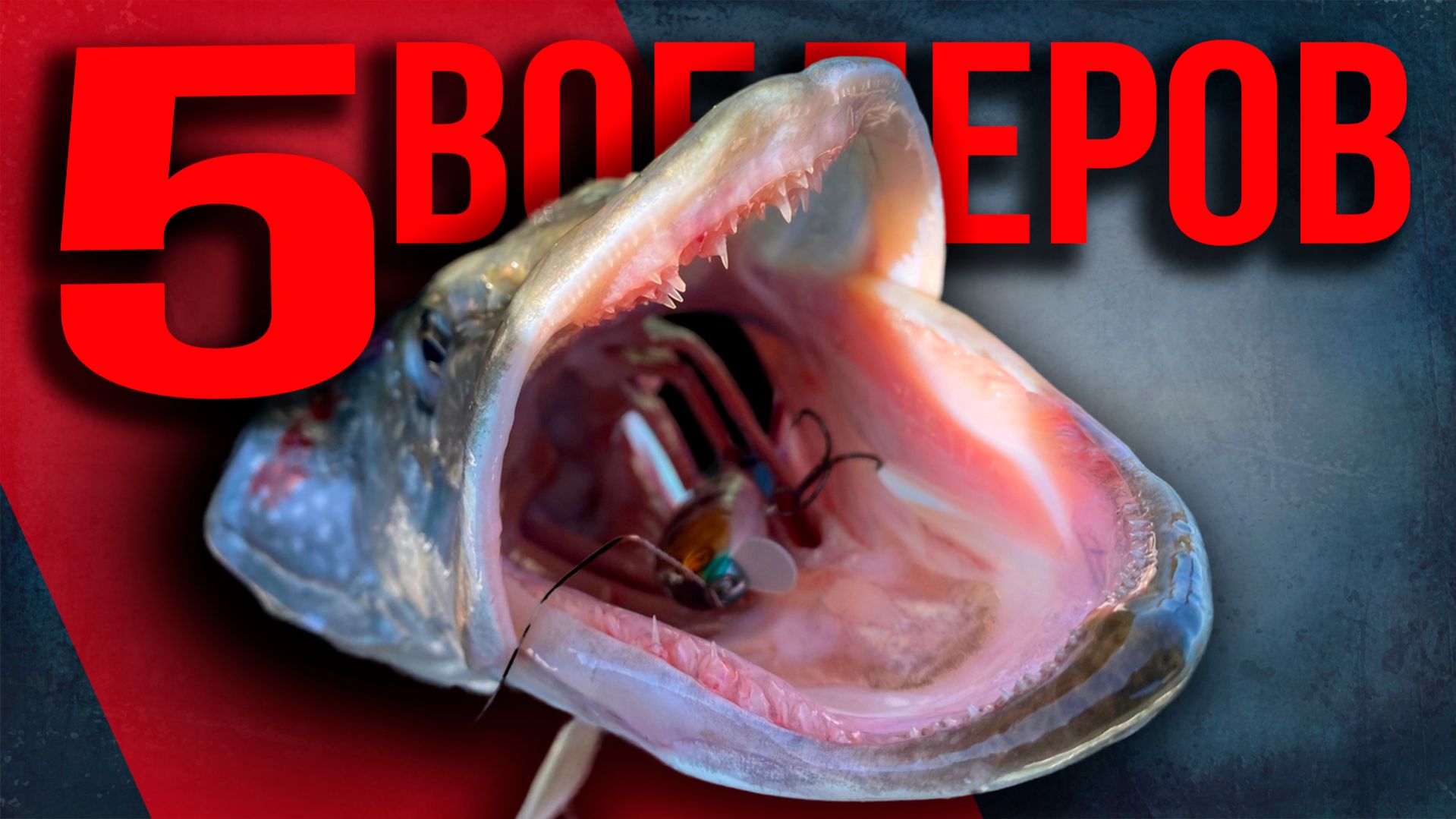 🔴 Закинул и вытащил! Рабочие воблеры на щуку для начинающего спиннингиста!🔥💥🔥