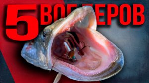 🔴 Закинул и вытащил! Рабочие воблеры на щуку для начинающего спиннингиста!🔥💥🔥