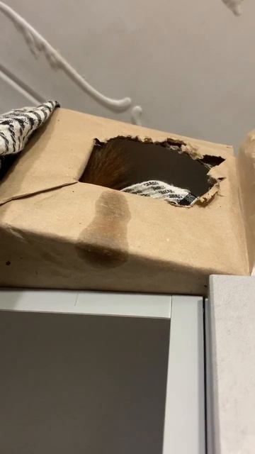 Настроение не фонтан