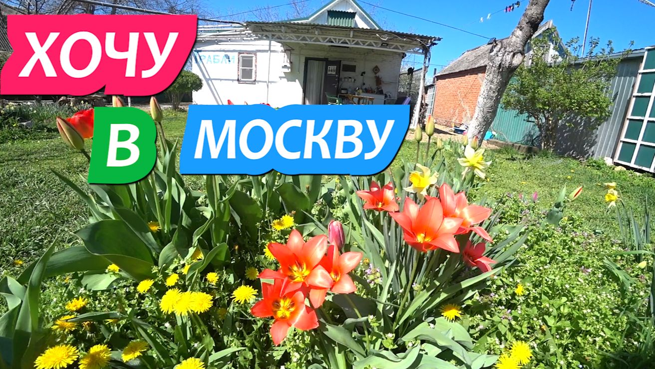 997 ссерия 6-9 апр В Москву хочу, но из станицы не уеду / Жизнь на Юге России