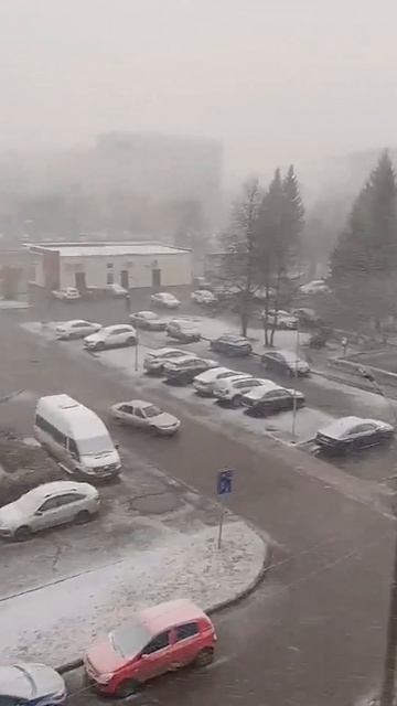 Зима вернулась в Татарстан. Из-за снегопада перекрыли участки двух трасс #снегопад #погода #казань