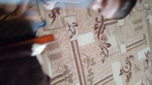 зомби апокалипсис 1 серия начало катастрофы