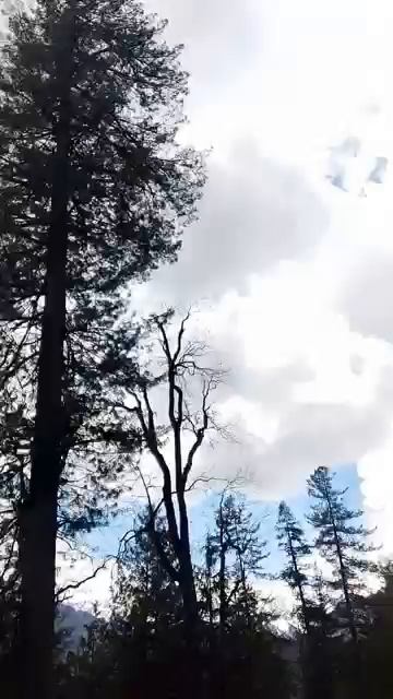 ما عليك سوى الانتساب إلى هذه القناة للاستفادة من المزايا Allah hu akbar #mittiaurmai7