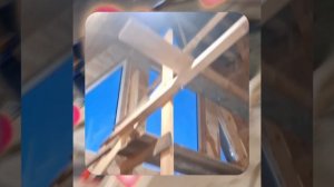 1000055611.mp4 (Собака наблюдает за устройством лестницы на 2-ой этаж в доме А-фрейм)