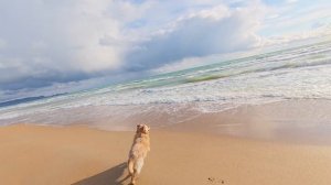 Наш пляж🏖️