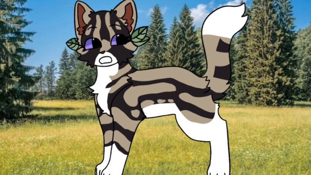 Сью не останавливается! Она сделала разнос на тëмную ночь ! Сью дура!