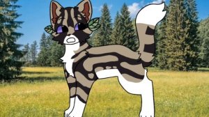 Сью не останавливается! Она сделала разнос на тëмную ночь ! Сью дура!