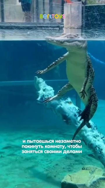 Главное, чтобы не заметил!😂  Лайк со всех, кому знакомо!