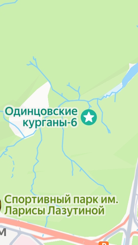 Как погулять в Подушкинском лесу и найти клад?