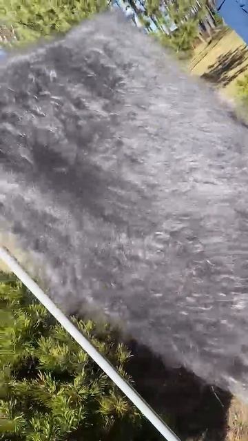 Пуховый платок -пух как ковыль играет на ветру. Видео отзыв моей покупательницы Любови.