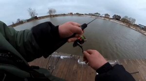 поимка форели на спиннинг