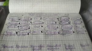 Небольшие покупки) Сколько же не взошло рассады