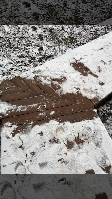 Лиственница под 90°