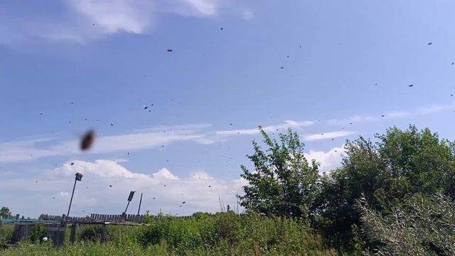 Ортодоксия  другие положения