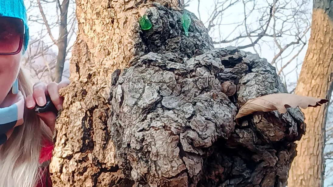 Весна в лесу