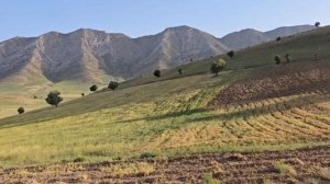 316ч.Дом в пещере, работа в горах: борьба Марьям за выживание