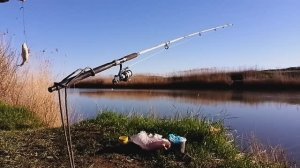 БЕШЕНЫЙ КЛЁВ, РЫБАЛКА 24 ЧАСА МНОГО РЫБЫ