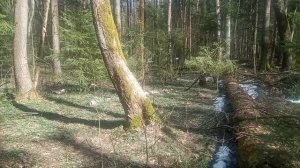 Главные ошибки покупающих камуфляж