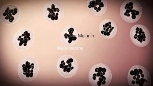 Нейрохирург Доктор Джек Крузе был отстранен от работы после того, как раскрыл эту информацию