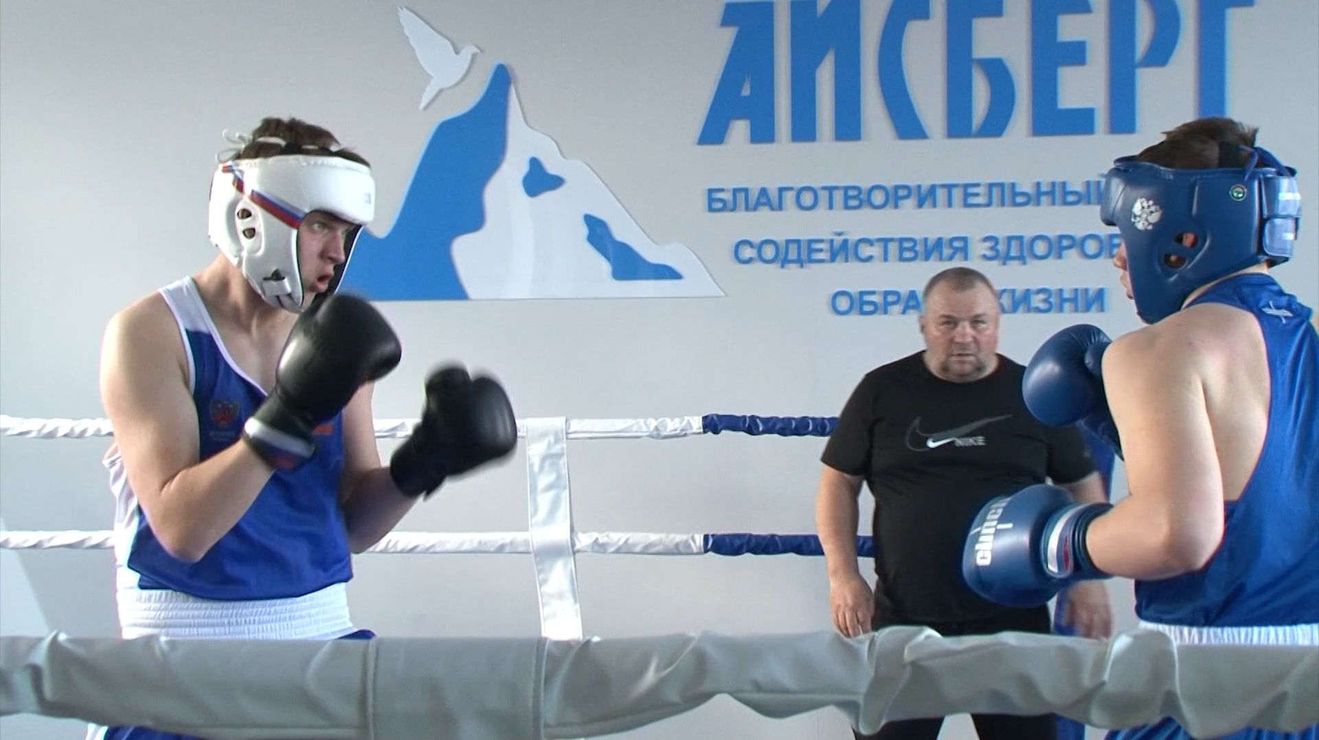 На стадионе «Старт» города Бирюча прошла открытая тренировка по боксу