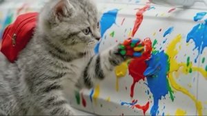 КОТИКИ Мама КОШКА 12 серия 😻❤️ 1 сезон смотреть бесплатно, мультики для детей