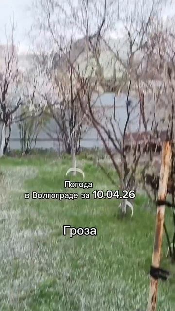 погода волгоград