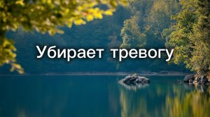 Шум водопада для сна и релакса🌊 | Звуки природы без музыки🌊🌿| 30 минут звуки воды ☘️🌊